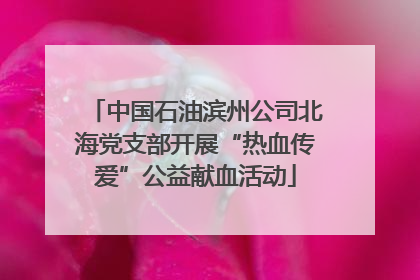 中国石油滨州公司北海党支部开展“热血传爱”公益献血活动
