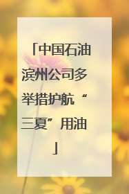 中国石油滨州公司多举措护航“三夏”用油