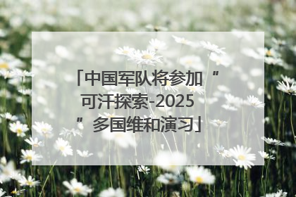 中国军队将参加“可汗探索-2025”多国维和演习