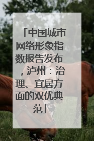 中国城市网络形象指数报告发布，泸州：治理、宜居方面的双优典范