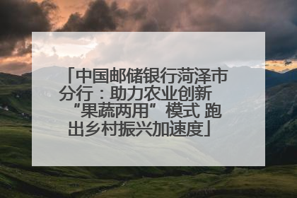 中国邮储银行菏泽市分行：助力农业创新 “果蔬两用”模式 跑出乡村振兴加速度