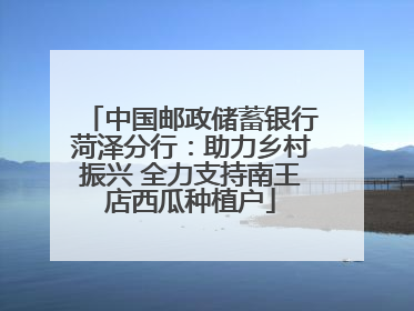 中国邮政储蓄银行菏泽分行：助力乡村振兴 全力支持南王店西瓜种植户