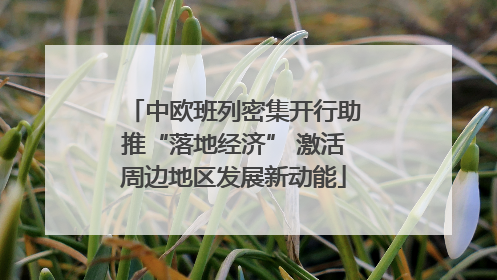 中欧班列密集开行助推“落地经济” 激活周边地区发展新动能