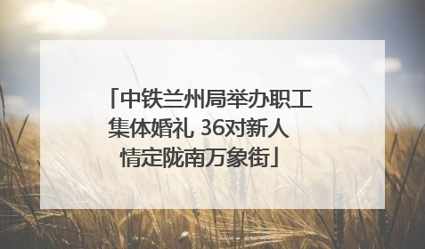 中铁兰州局举办职工集体婚礼 36对新人情定陇南万象街