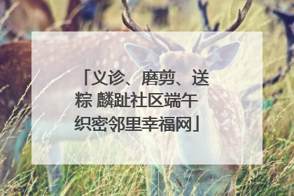 义诊、磨剪、送粽 麟趾社区端午织密邻里幸福网