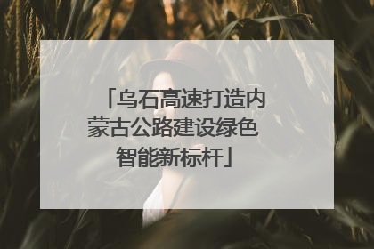 乌石高速打造内蒙古公路建设绿色智能新标杆