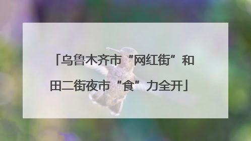 乌鲁木齐市“网红街”和田二街夜市“食”力全开