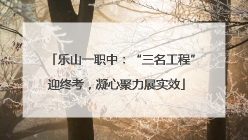 乐山一职中：“三名工程”迎终考，凝心聚力展实效