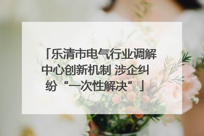 乐清市电气行业调解中心创新机制 涉企纠纷“一次性解决”