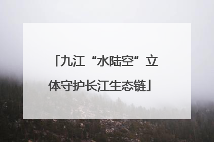 九江“水陆空”立体守护长江生态链