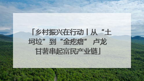 乡村振兴在行动丨从“土坷垃”到“金疙瘩” 卢龙甘薯串起富民产业链