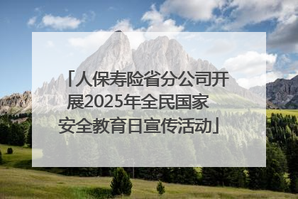 人保寿险省分公司开展2025年全民国家安全教育日宣传活动