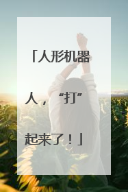 人形机器人，“打”起来了！