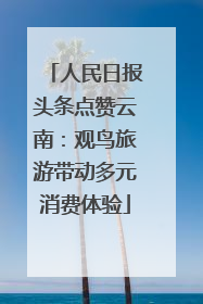 人民日报头条点赞云南：观鸟旅游带动多元消费体验