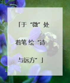 于“微”处着笔 绘“诗与远方”
