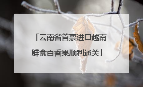 云南省首票进口越南鲜食百香果顺利通关