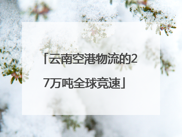 云南空港物流的27万吨全球竞速