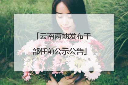 云南两地发布干部任前公示公告