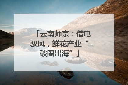 云南师宗：借电驭风，鲜花产业“破圈出海”