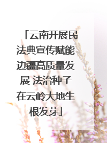 云南开展民法典宣传赋能边疆高质量发展 法治种子在云岭大地生根发芽