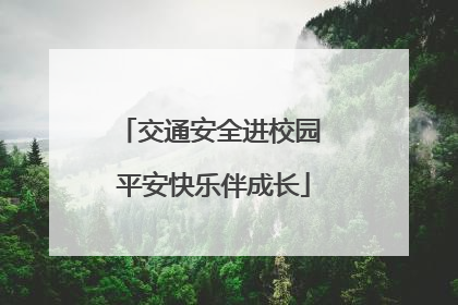 交通安全进校园 平安快乐伴成长