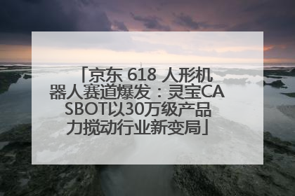 京东 618 人形机器人赛道爆发：灵宝CASBOT以30万级产品力搅动行业新变局