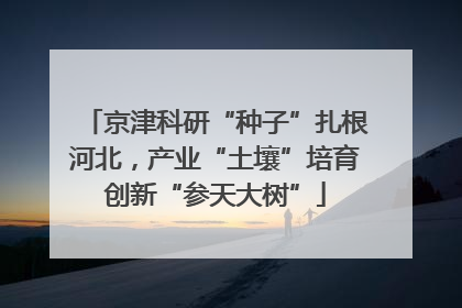 京津科研“种子”扎根河北，产业“土壤”培育创新“参天大树”