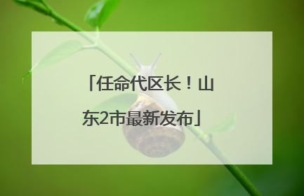 任命代区长！山东2市最新发布