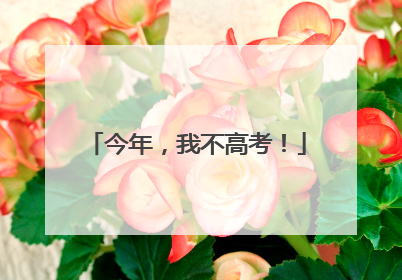 今年，我不高考！