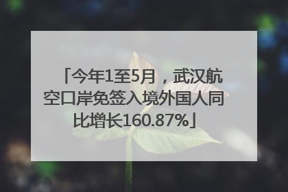 今年1至5月，武汉航空口岸免签入境外国人同比增长160.87%