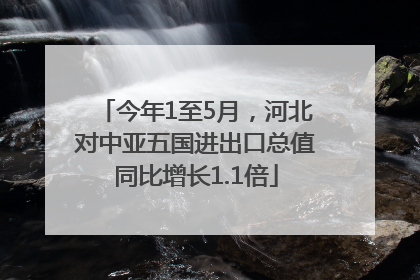 今年1至5月，河北对中亚五国进出口总值同比增长1.1倍