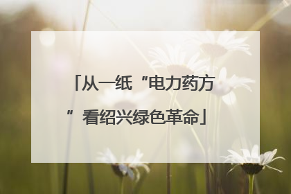 从一纸“电力药方”看绍兴绿色革命