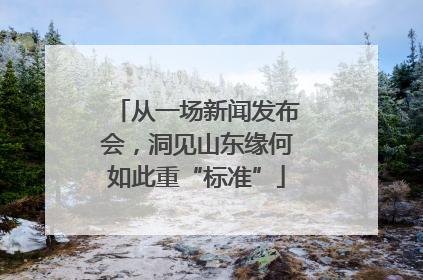 从一场新闻发布会，洞见山东缘何如此重“标准”