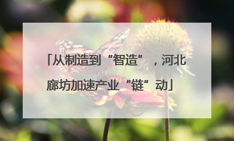 从制造到“智造”，河北廊坊加速产业“链”动