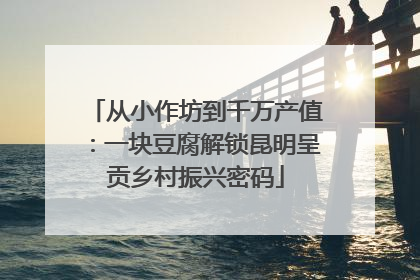 从小作坊到千万产值：一块豆腐解锁昆明呈贡乡村振兴密码