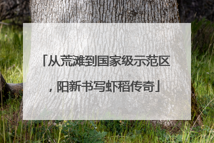 从荒滩到国家级示范区，阳新书写虾稻传奇