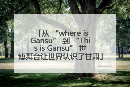 从 “where is Gansu” 到 “This is Gansu” 世博舞台让世界认识了甘肃