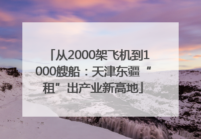 从2000架飞机到1000艘船：天津东疆“租”出产业新高地