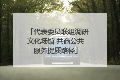 代表委员联组调研文化场馆 共商公共服务提质路径