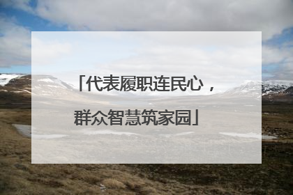 代表履职连民心，群众智慧筑家园