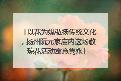 以花为媒弘扬传统文化，扬州阮元家庙内这场敬琼花活动寓意隽永