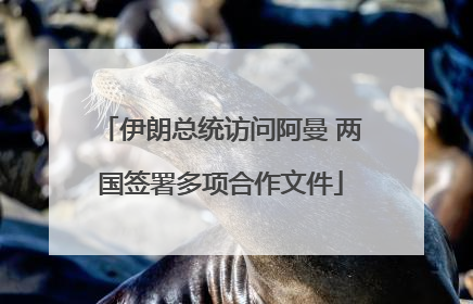 伊朗总统访问阿曼 两国签署多项合作文件