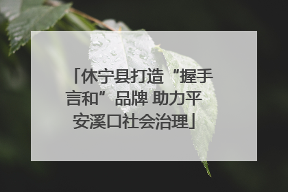 休宁县打造“握手言和”品牌 助力平安溪口社会治理
