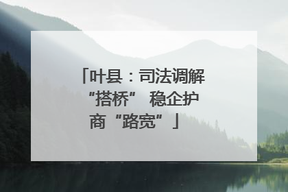 叶县：司法调解“搭桥” 稳企护商“路宽”