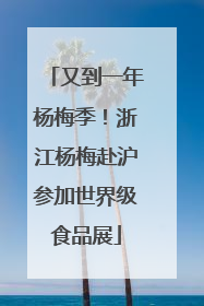 又到一年杨梅季！浙江杨梅赴沪参加世界级食品展