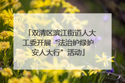 双清区滨江街道人大工委开展“法治护绿护安人大行”活动
