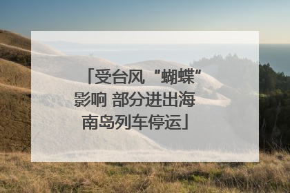 受台风“蝴蝶”影响 部分进出海南岛列车停运