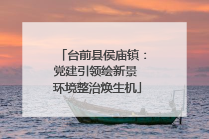 台前县侯庙镇：党建引领绘新景 环境整治焕生机