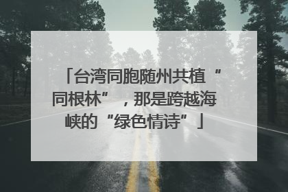台湾同胞随州共植“同根林”，那是跨越海峡的“绿色情诗”