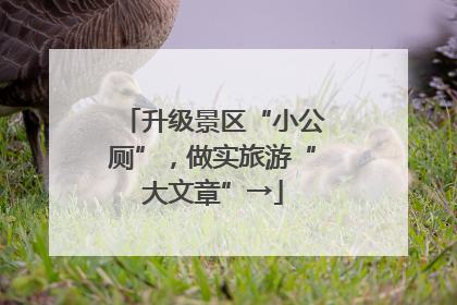 升级景区“小公厕”，做实旅游“大文章”→